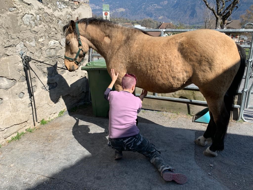 Energetische Sitzung mit Philomena